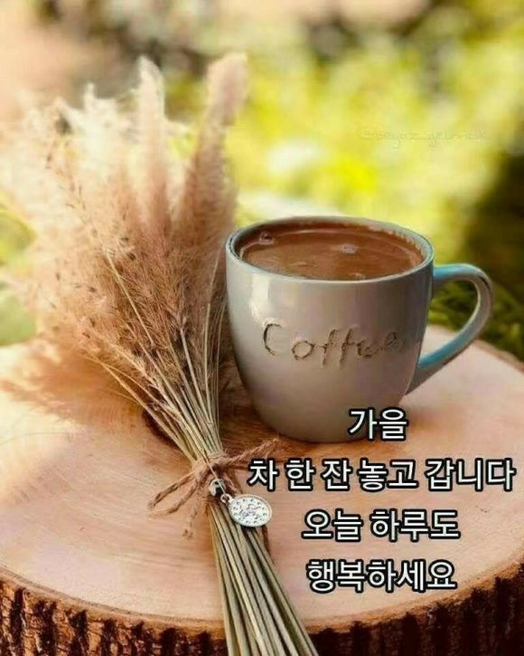 보령시니어클럽 이미지