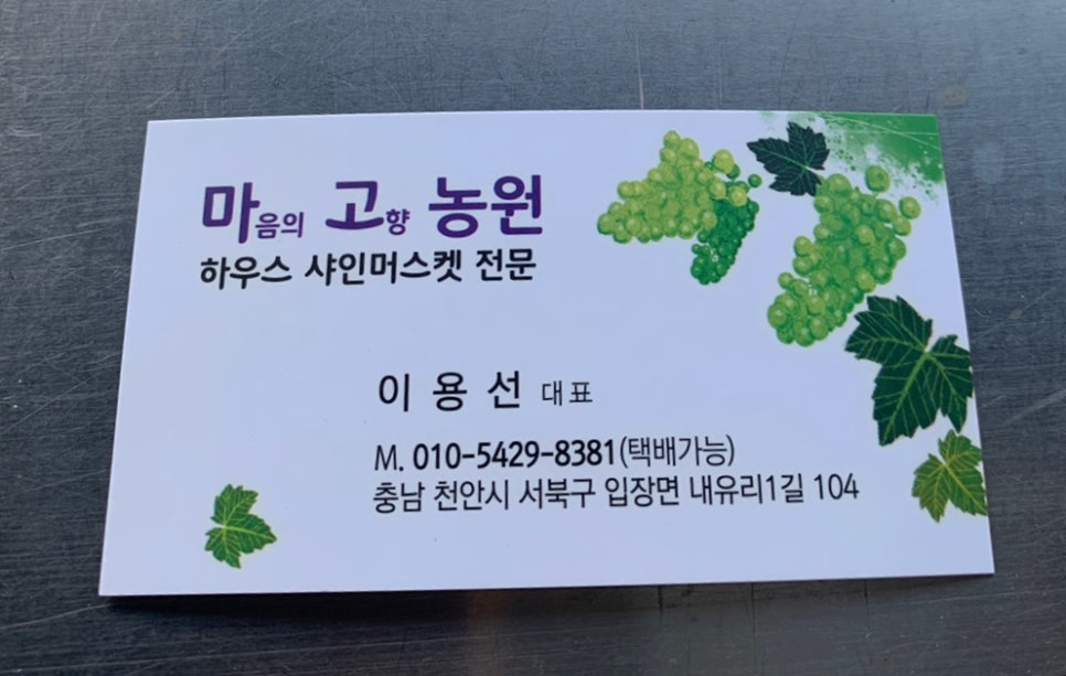 마고농원 이미지