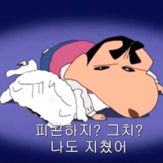 양쉐프짬뽕 이미지