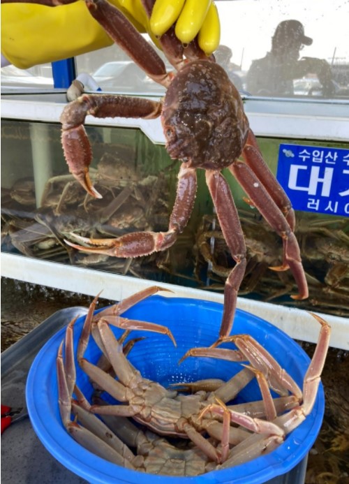 영덕광고 이미지