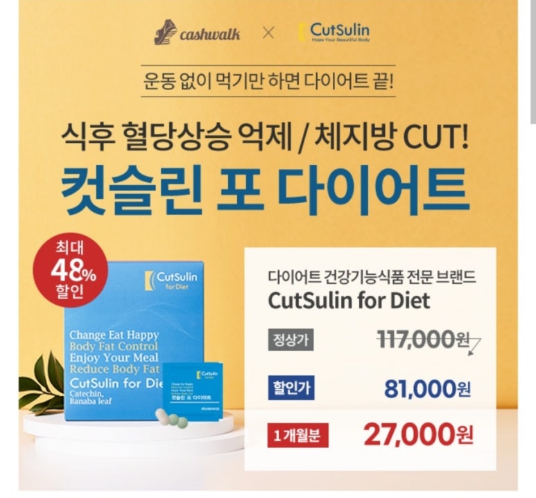 스테디패스 이미지