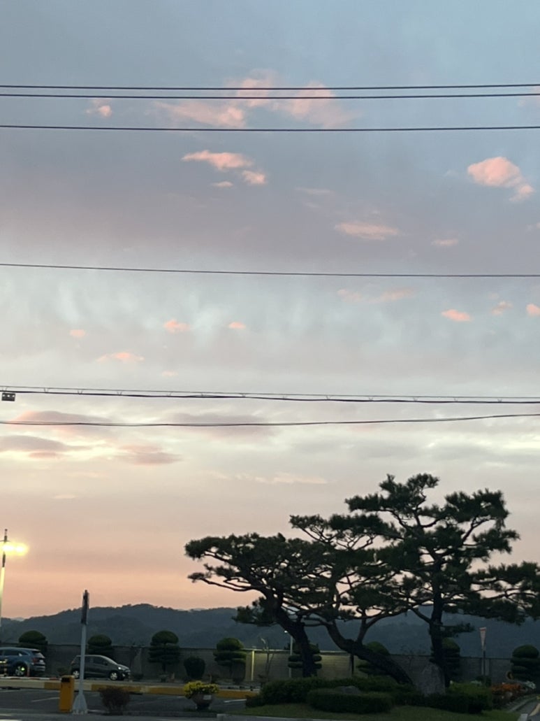 새하늘주유소 이미지