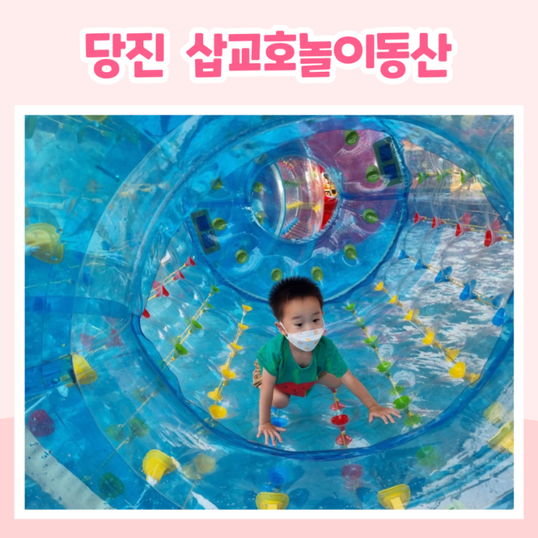 (주)삽교호놀이동산 이미지