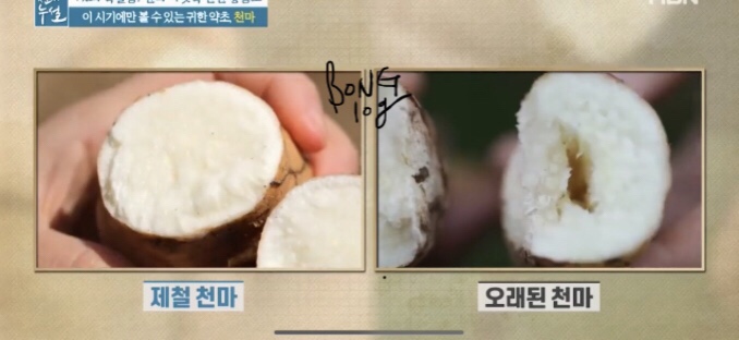 자라난 약초 이미지