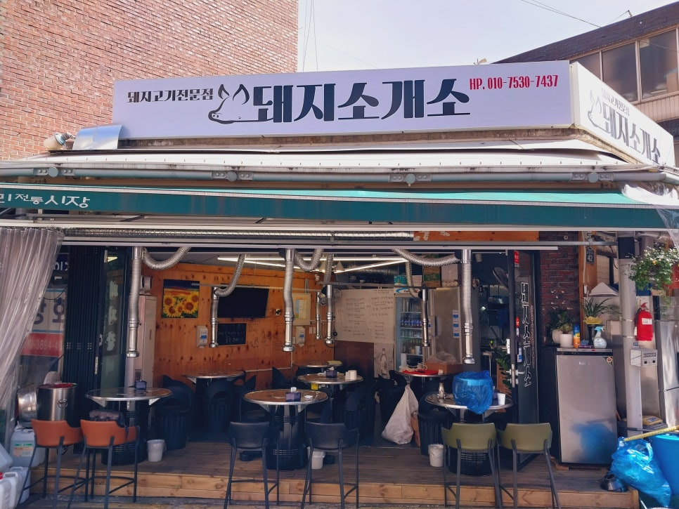 돼지소개소 이미지