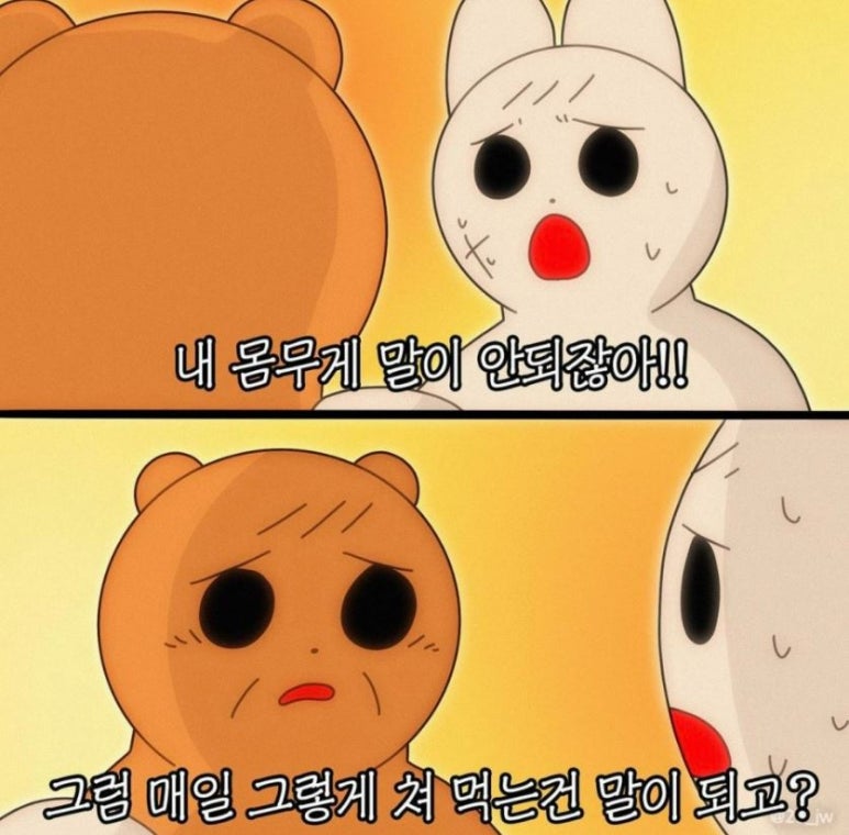 갤러리콩 이미지