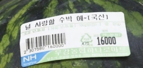 테라피도림 이미지