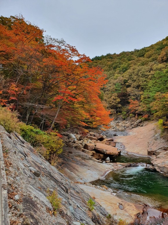 산청율수원 이미지