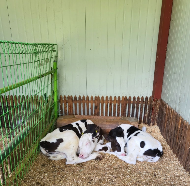 후사랑밀크(환희목장) 이미지