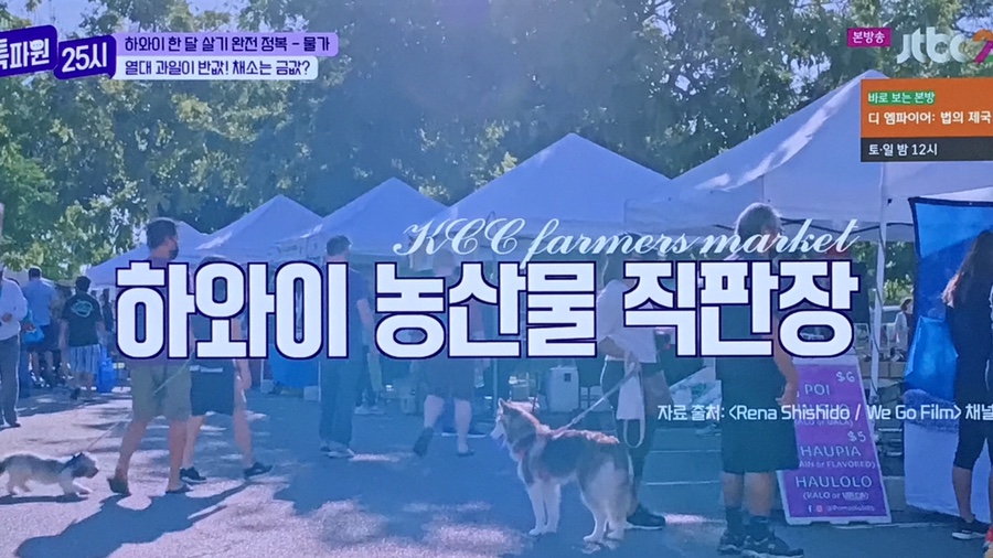 농산물대박마트 이미지