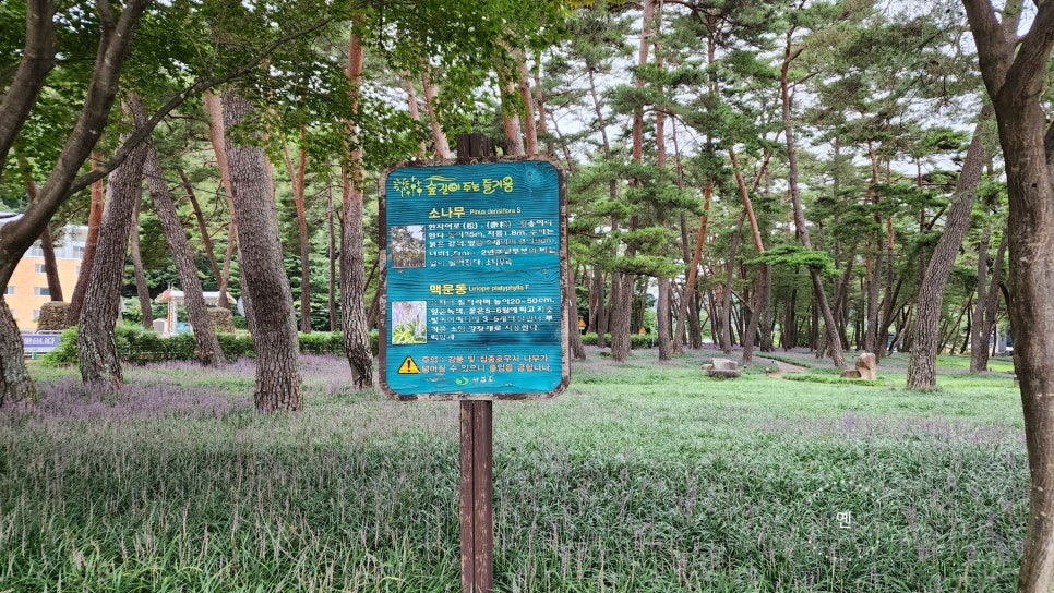 카페여연 이미지