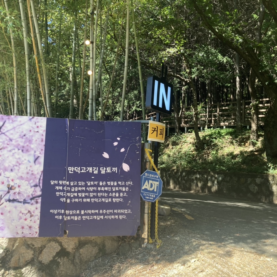 만덕고개길436 이미지