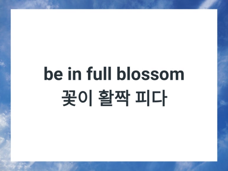 꽃피다Bloom 이미지