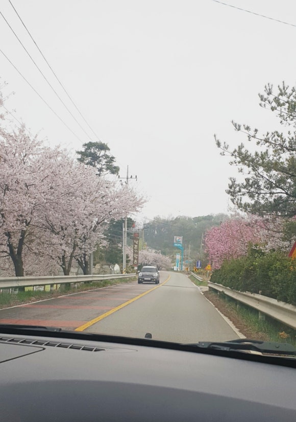 카페티라시아 이미지