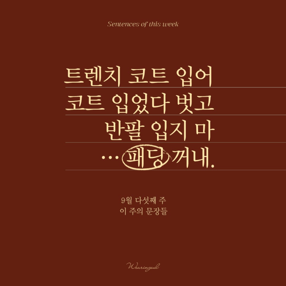 스타일입다별 이미지