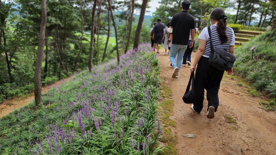 꽃피는산골협동조합 이미지