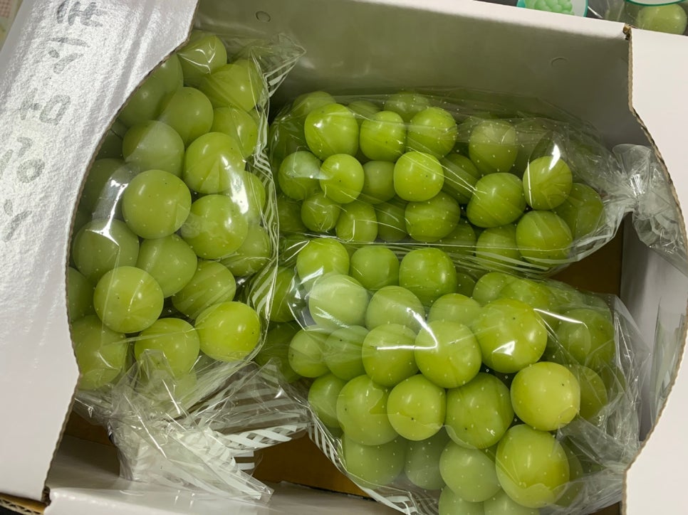 마고농원 이미지