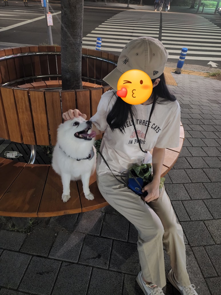 간식랜드 이미지