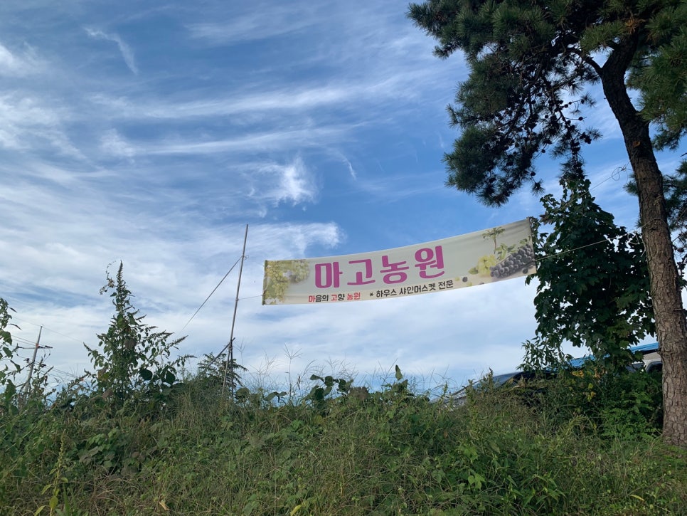 마고농원 이미지