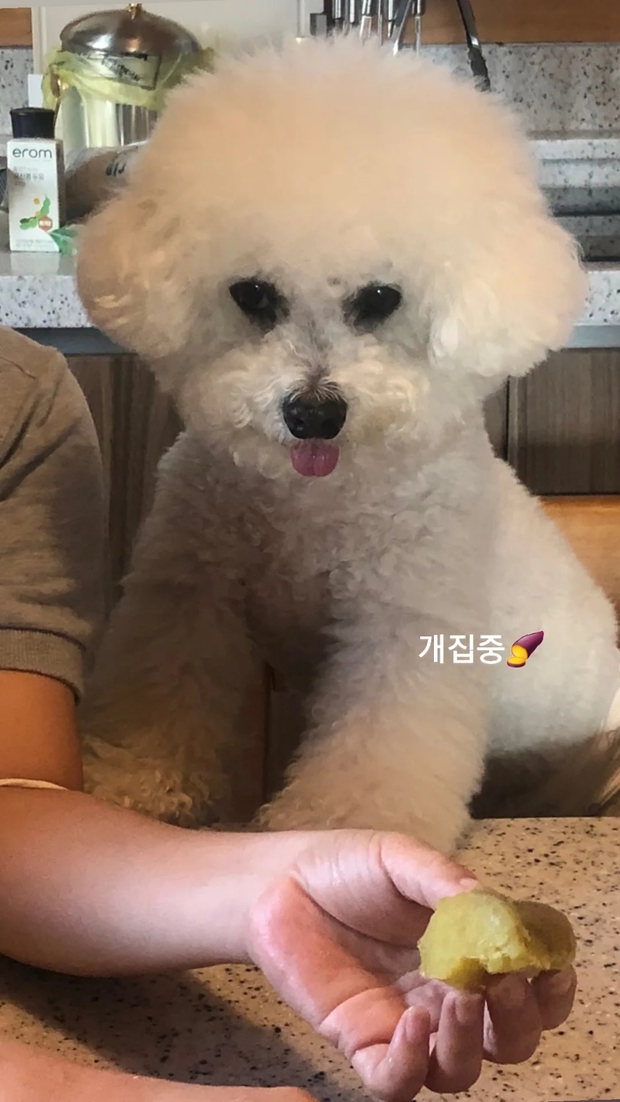 팡팡펜션2 이미지