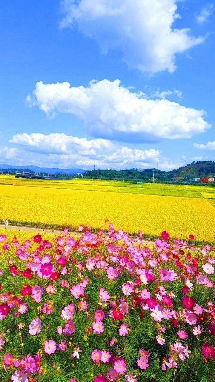 희망직업소개소 이미지