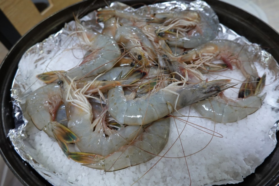 서산낙지 이미지