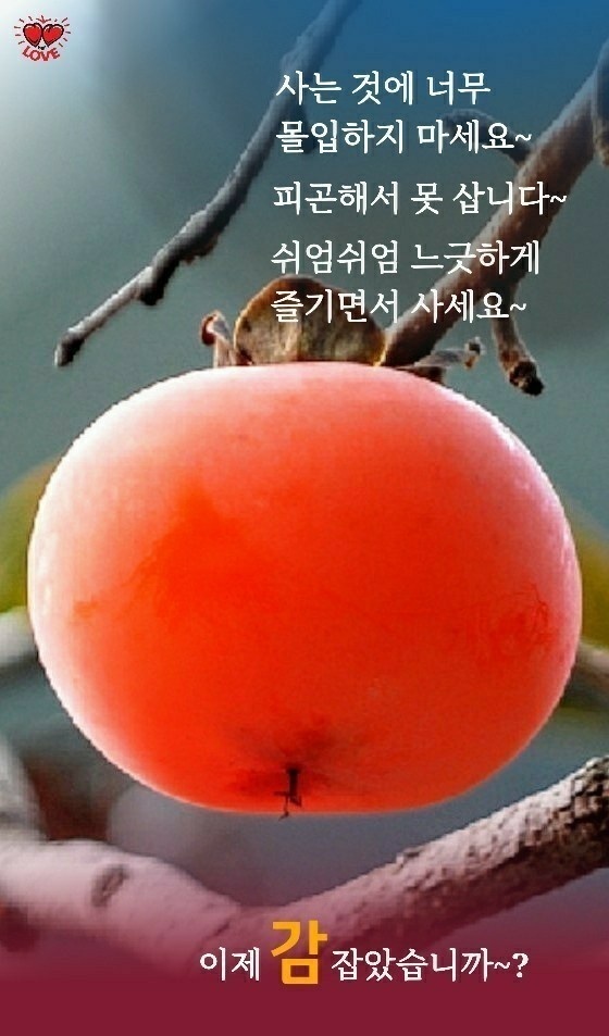 힐링타임 이미지