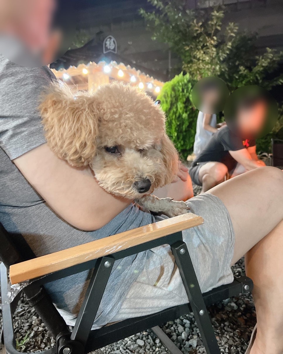 돌고래풀하우스 이미지