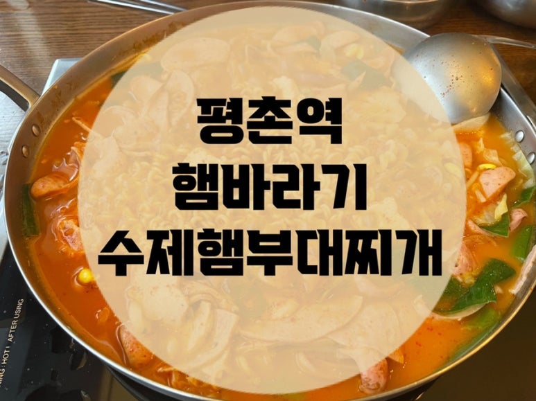 햄바라기 이미지