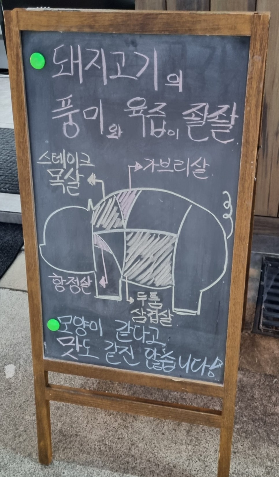 돼지도온 이미지