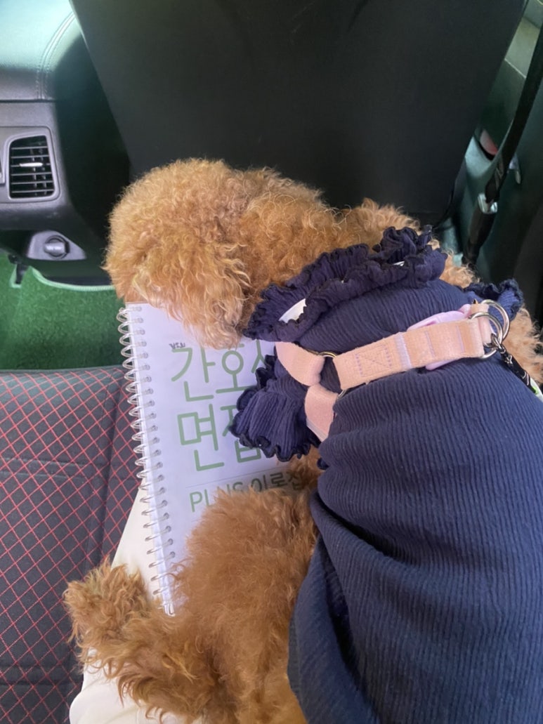 테그42광주효천점 이미지