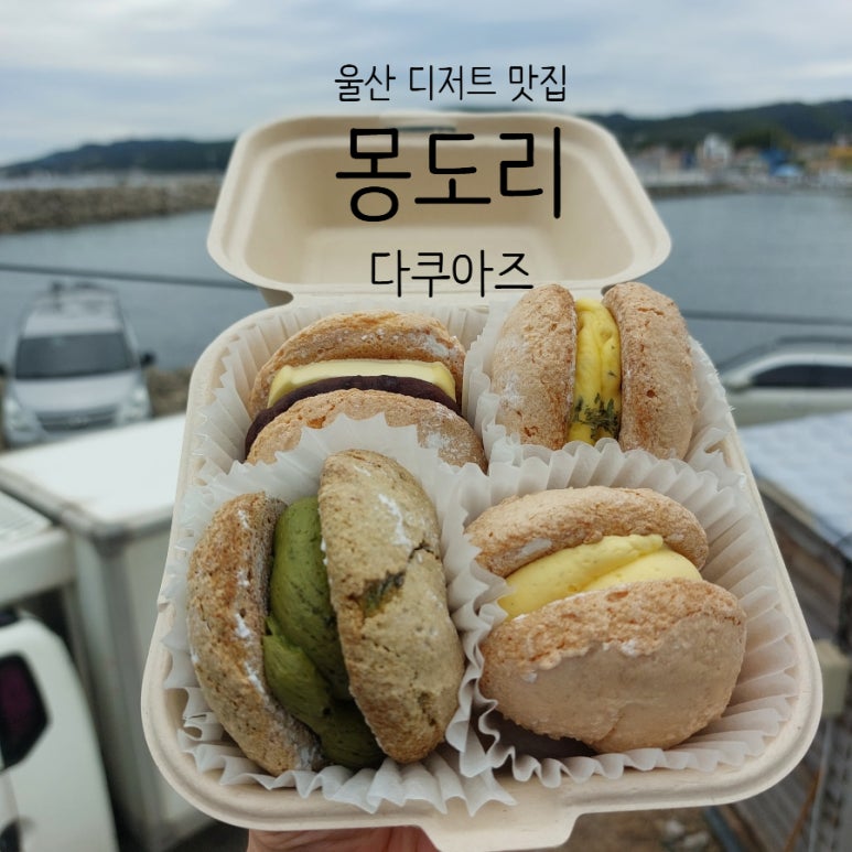 몽도리(MONGDORI) 이미지