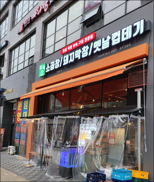 충주난 이미지