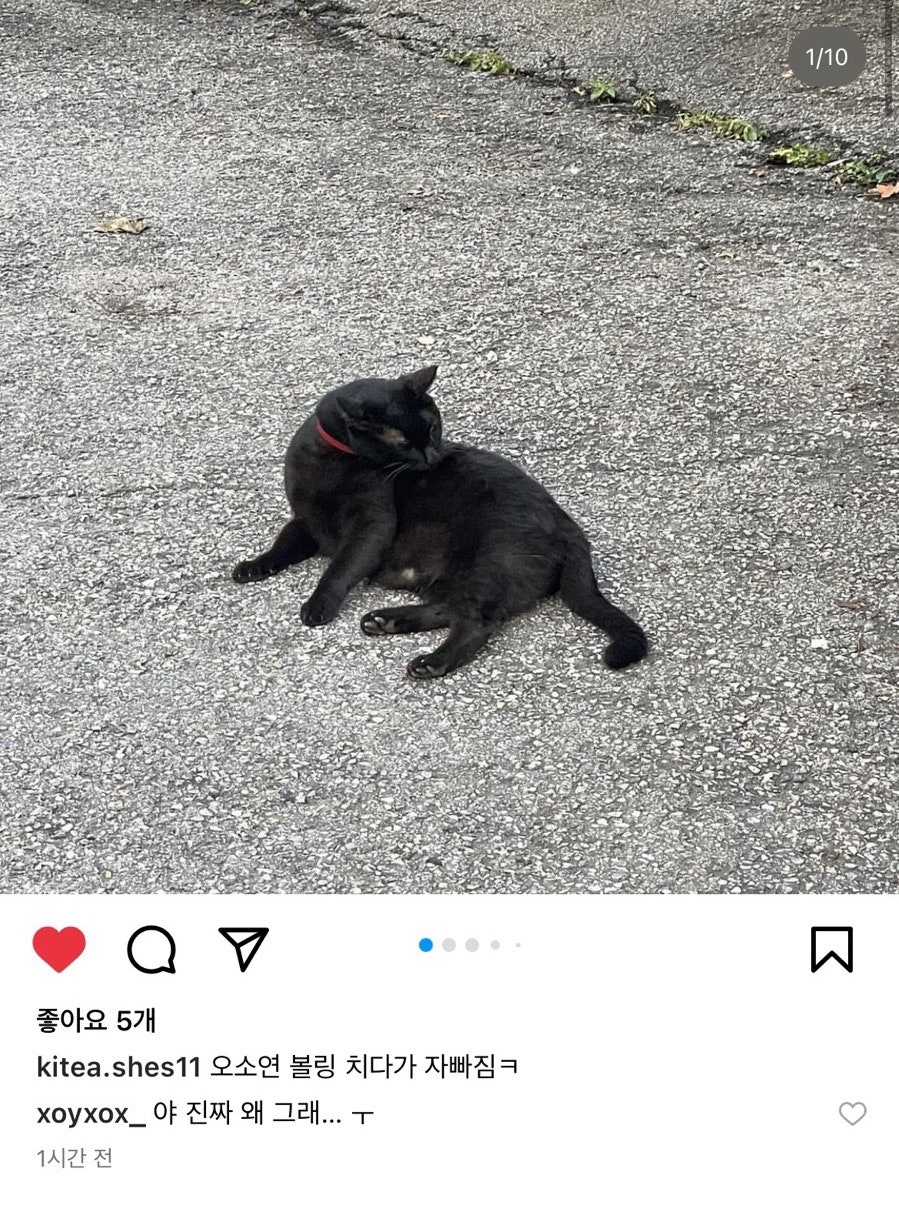 강호가스 이미지