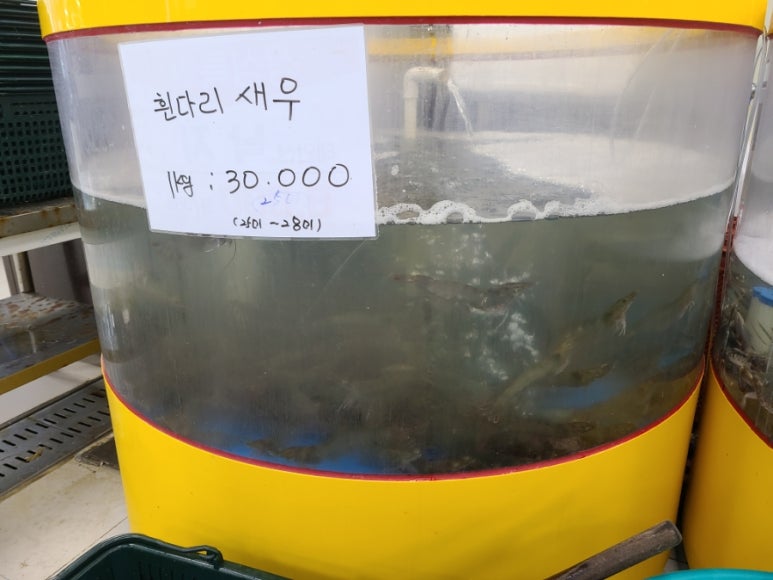 서산수산수산코너 이미지