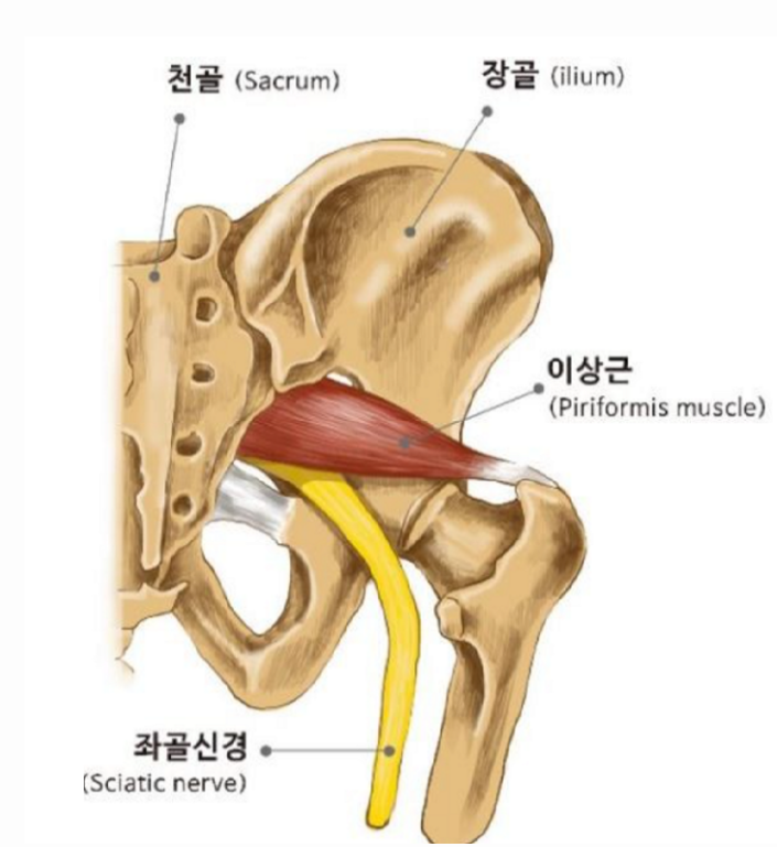 더우아 이미지