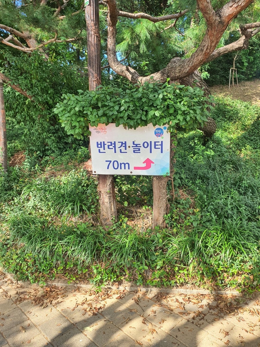 분당중앙공원 애견운동장: 반려견 놀이터 이용 가이드 — 사진 3
