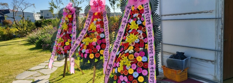도란도란팜 이미지