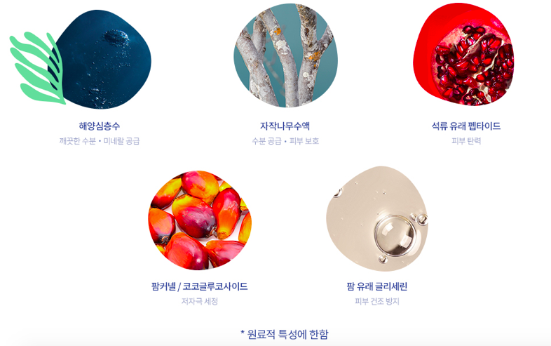 세이프앤워시 이미지