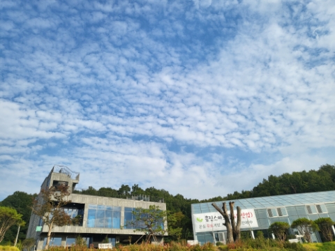 어썸80더대청 이미지