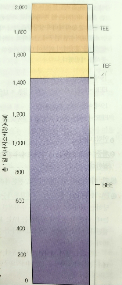 선인에너지 이미지