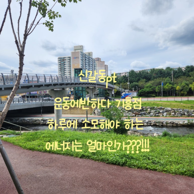 선인에너지 이미지