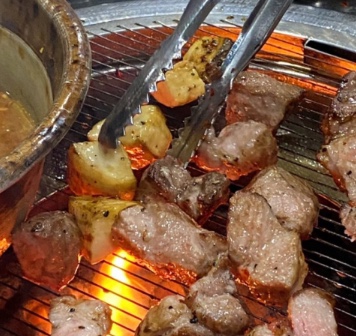 토가돈 이미지