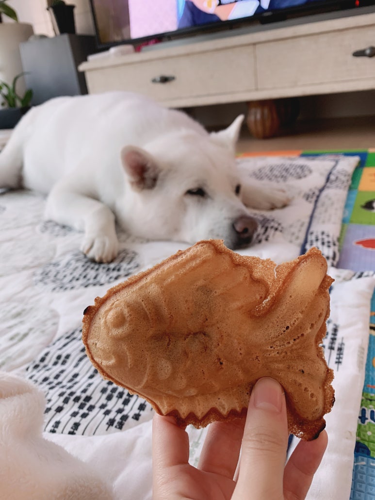 올때 붕어빵 이미지