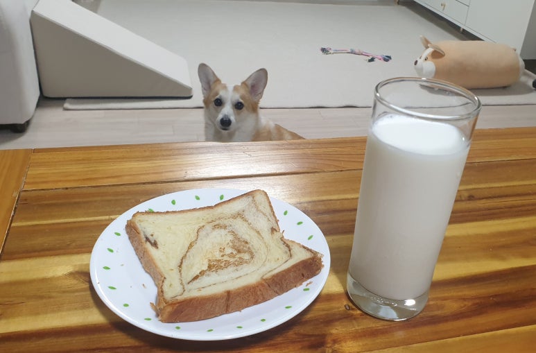 요빵조빵 이미지