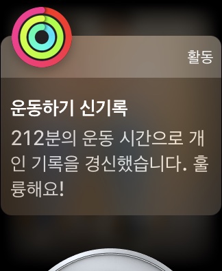 빛고을닭강정 이미지
