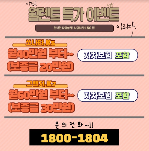 카모터스 이미지