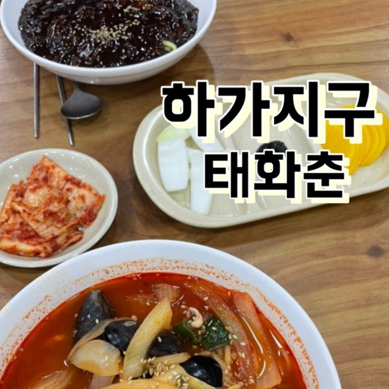 태화춘 이미지