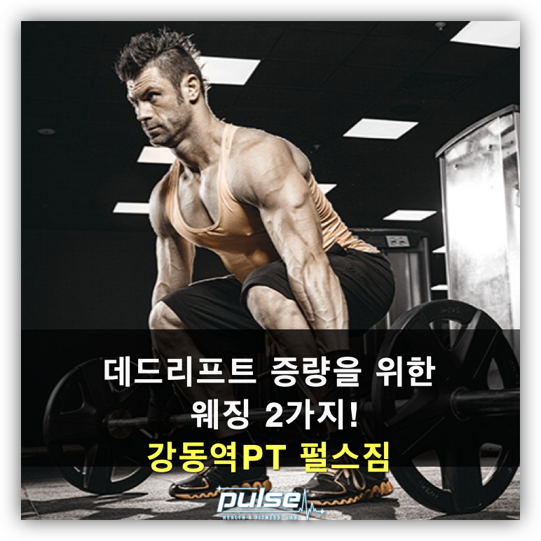 펄스휘트니스 이미지