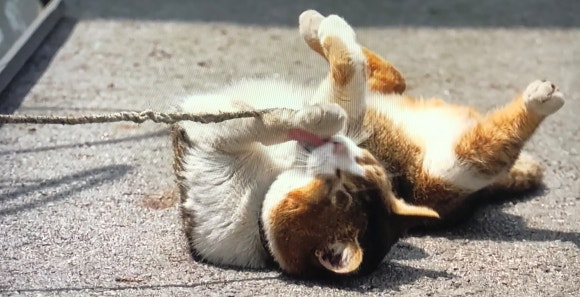 정성루 이미지